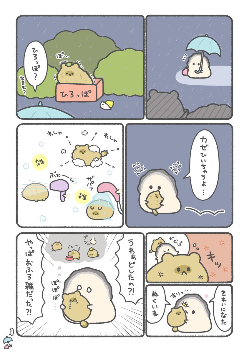 chima2chan's tweet photo. カキが拾った動物🦪ﾎﾟ(1/2) https://t.co/iXZUNAuAsb