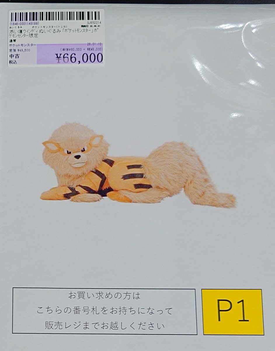 ポケモン情報】 特大ぬいぐるみが #駿河屋松本店 に『ぬいぐるみ