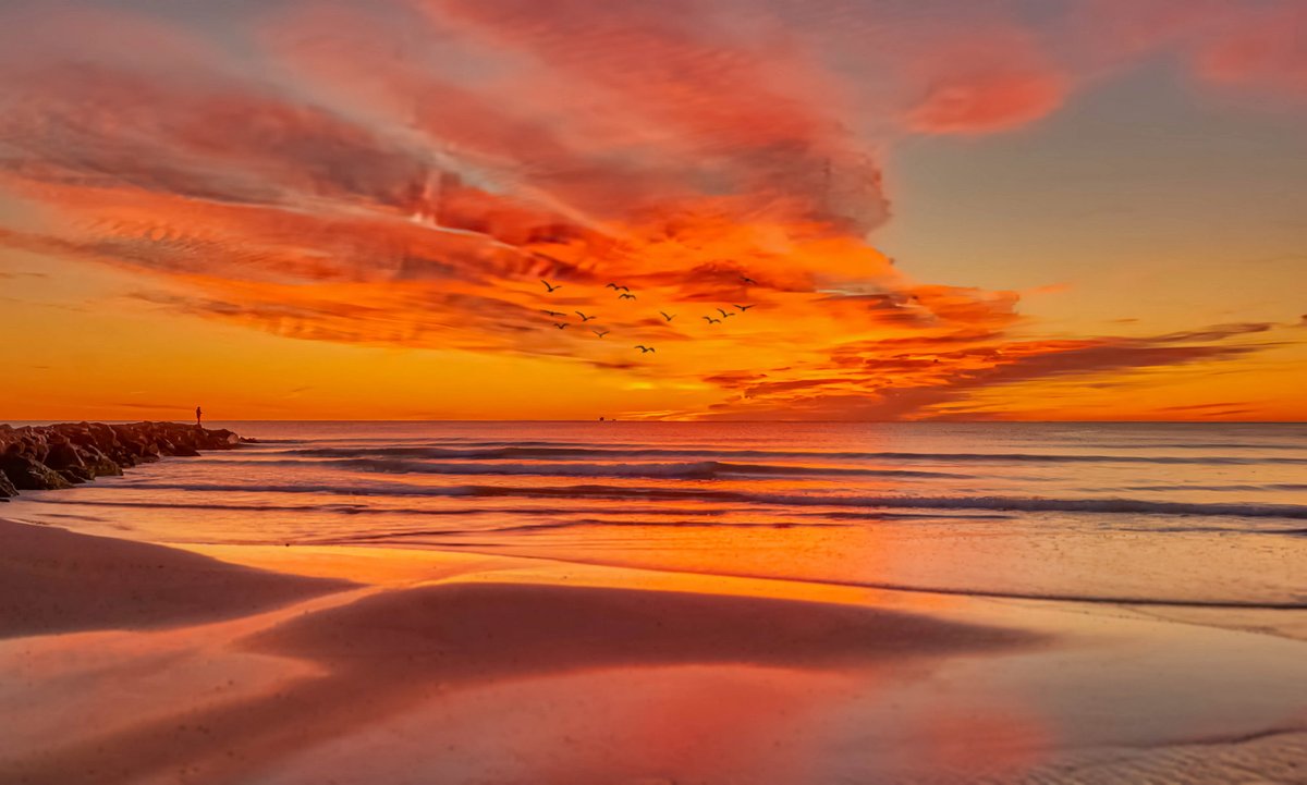 Álex Muñoz 💯 🧡 tweet media