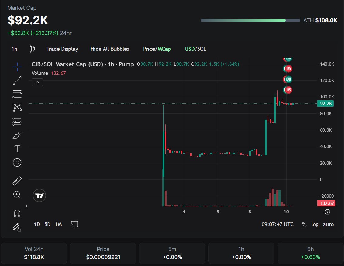 Cat in Box tweet media