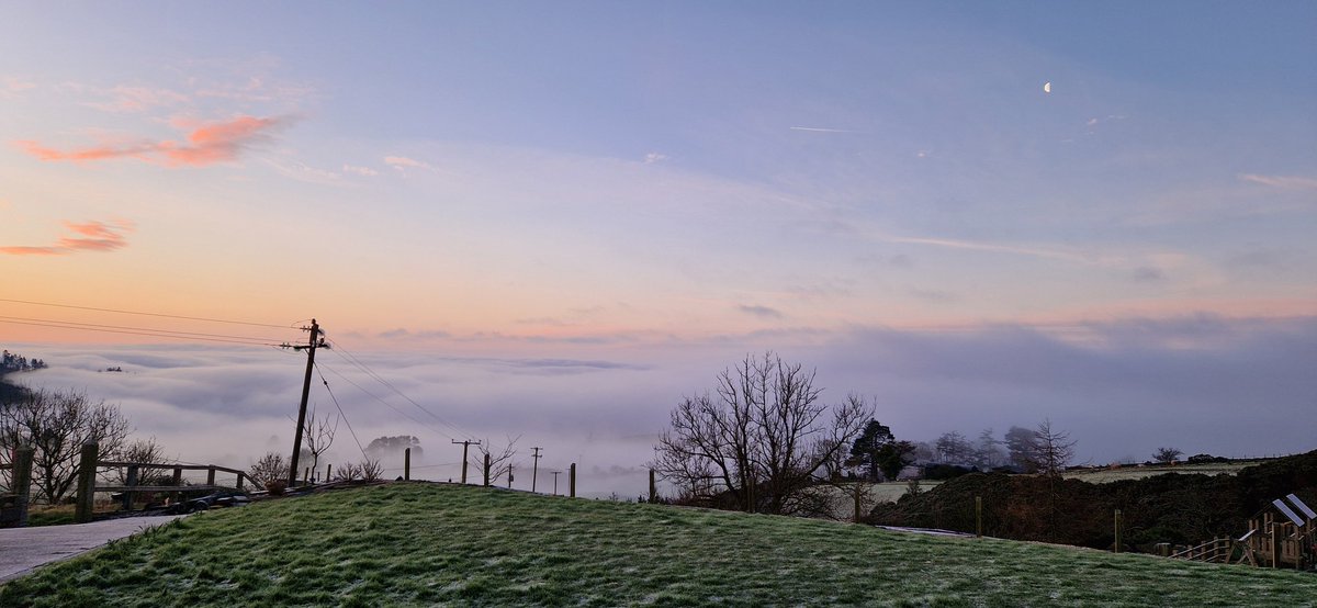 Damien White tweet media