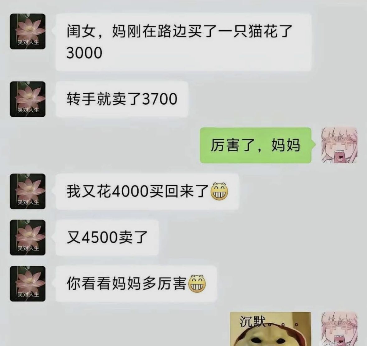 低等生物 tweet media