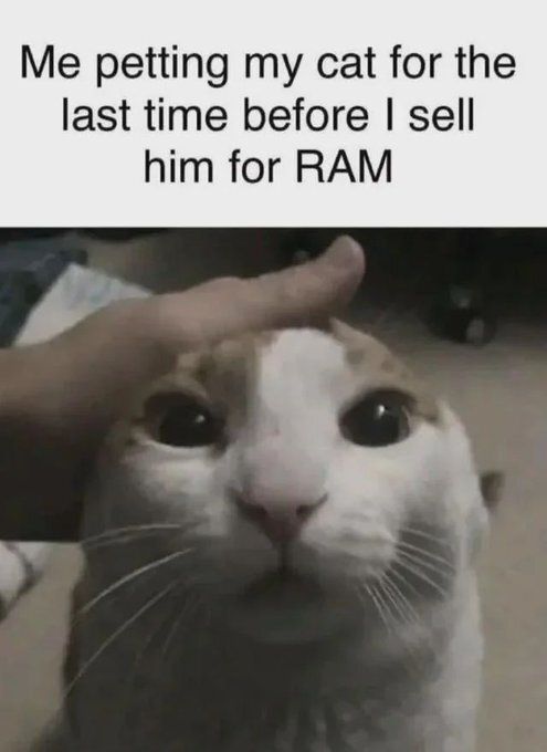 messeduppcs's tweet image. 