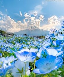 screwbb's tweet image. 新しいレシピに挑戦したら家族に大好評だった 🦴