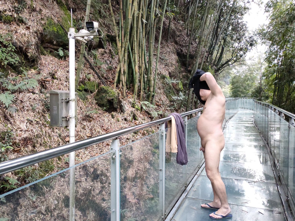 变熊的德鲁伊 tweet media