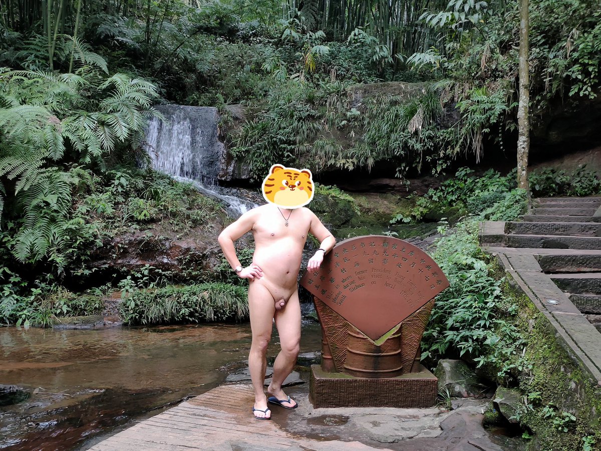 变熊的德鲁伊 tweet media