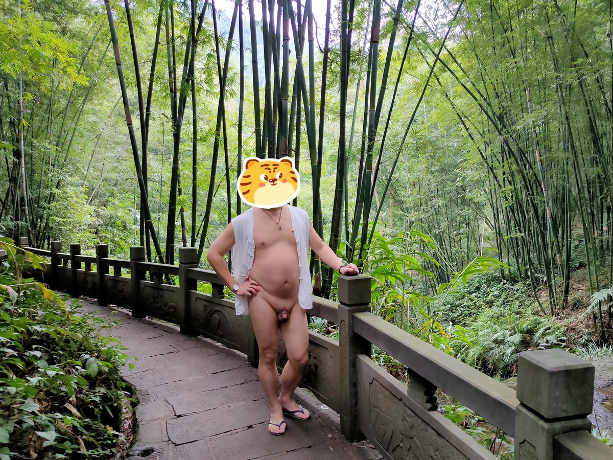 变熊的德鲁伊 tweet media