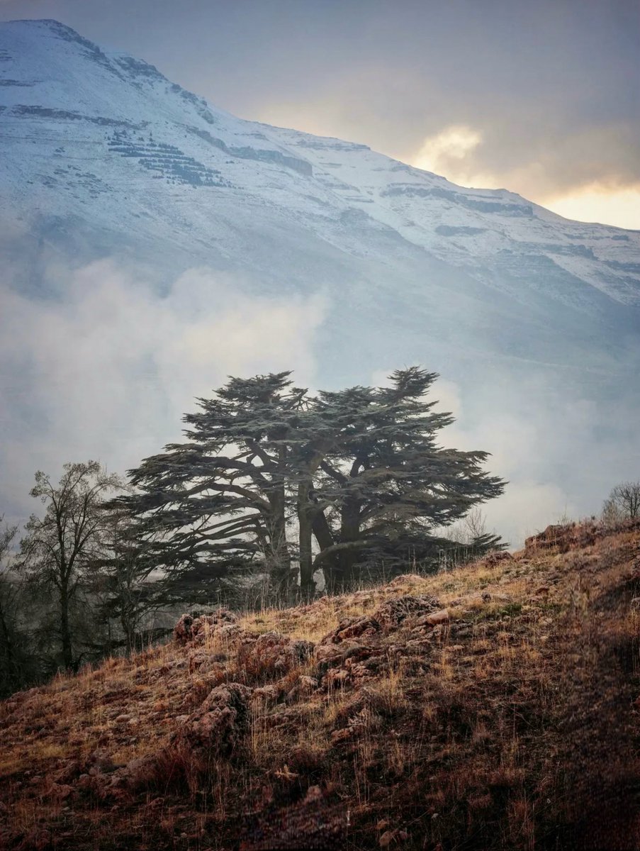 لبنان خُلق للحب لا للحرب 
♥️🇱🇧