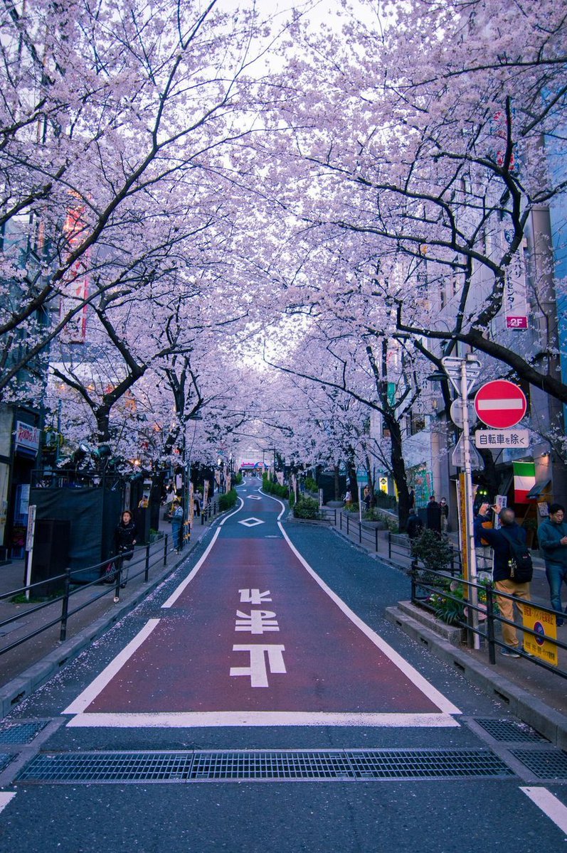 WhiteAlchemist's tweet image. のどが痛いから早めに寝よう 🤔