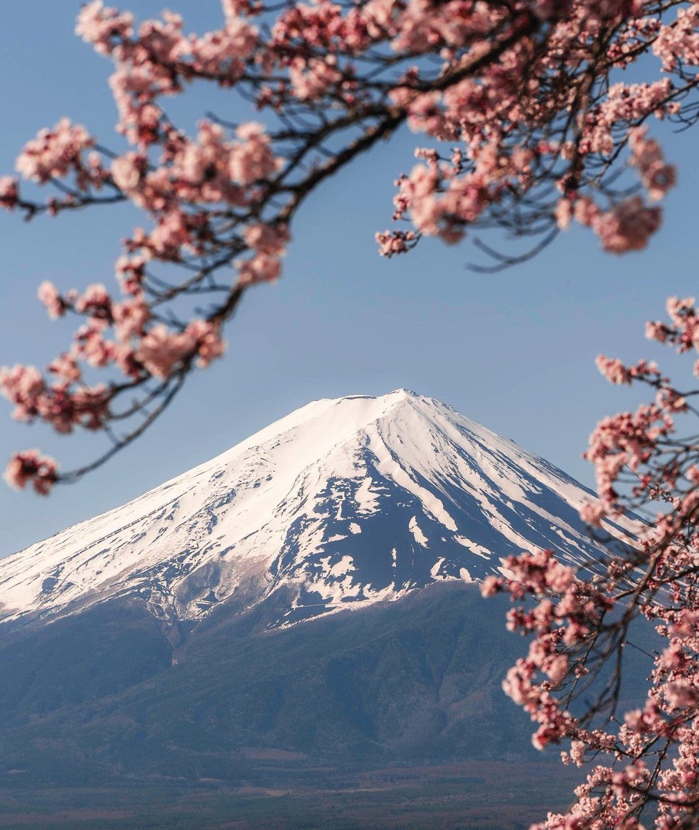 MagicLaker's tweet image. 電車が遅延して会議に10分遅刻\n焦った 🧔