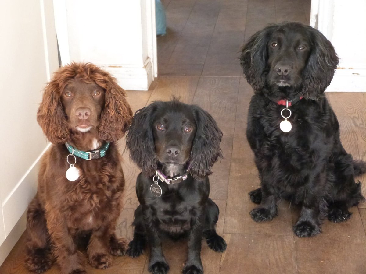 Stephen Smith tweet media