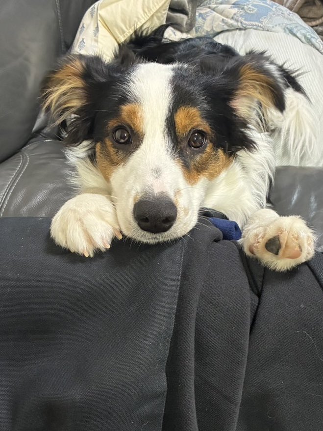 ゆい山 tweet media