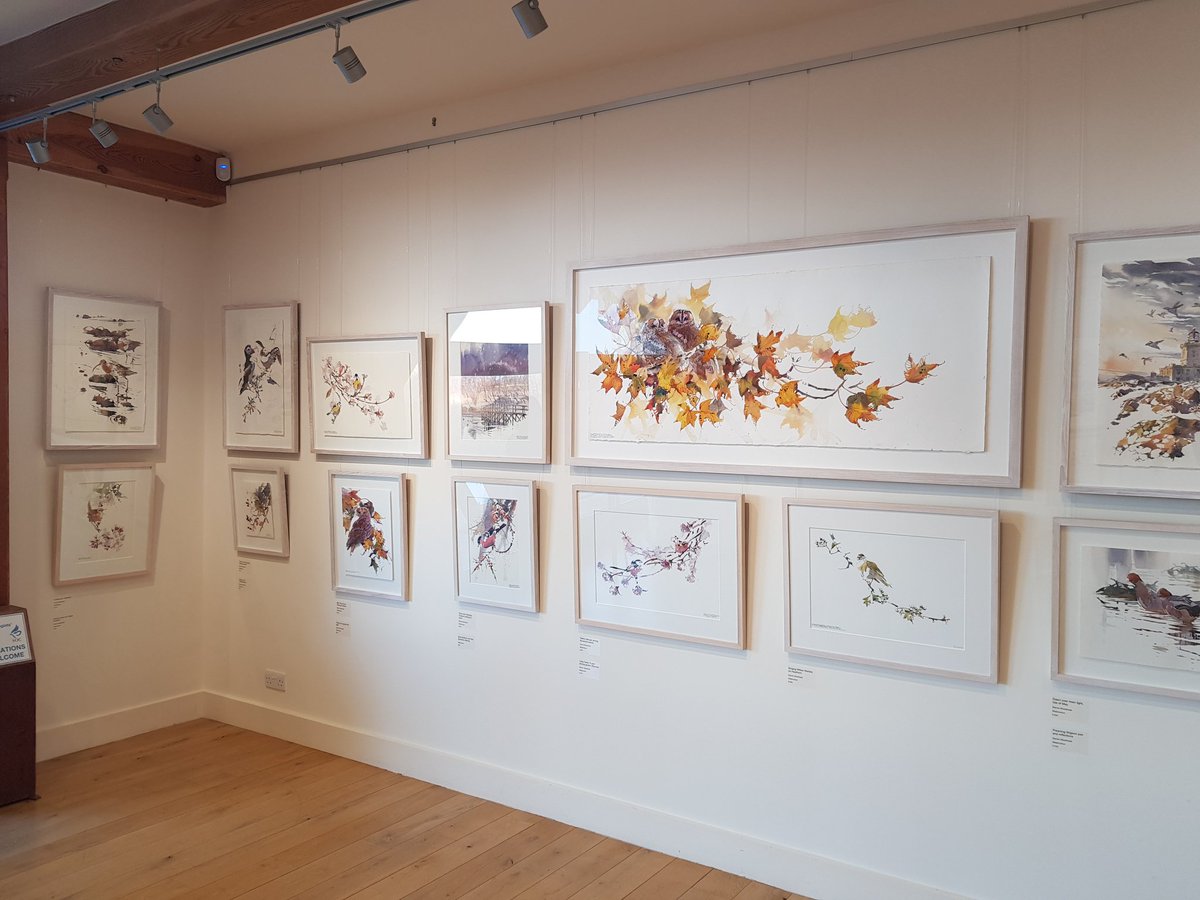 Darren Woodhead MA (RCA) SWLA tweet media