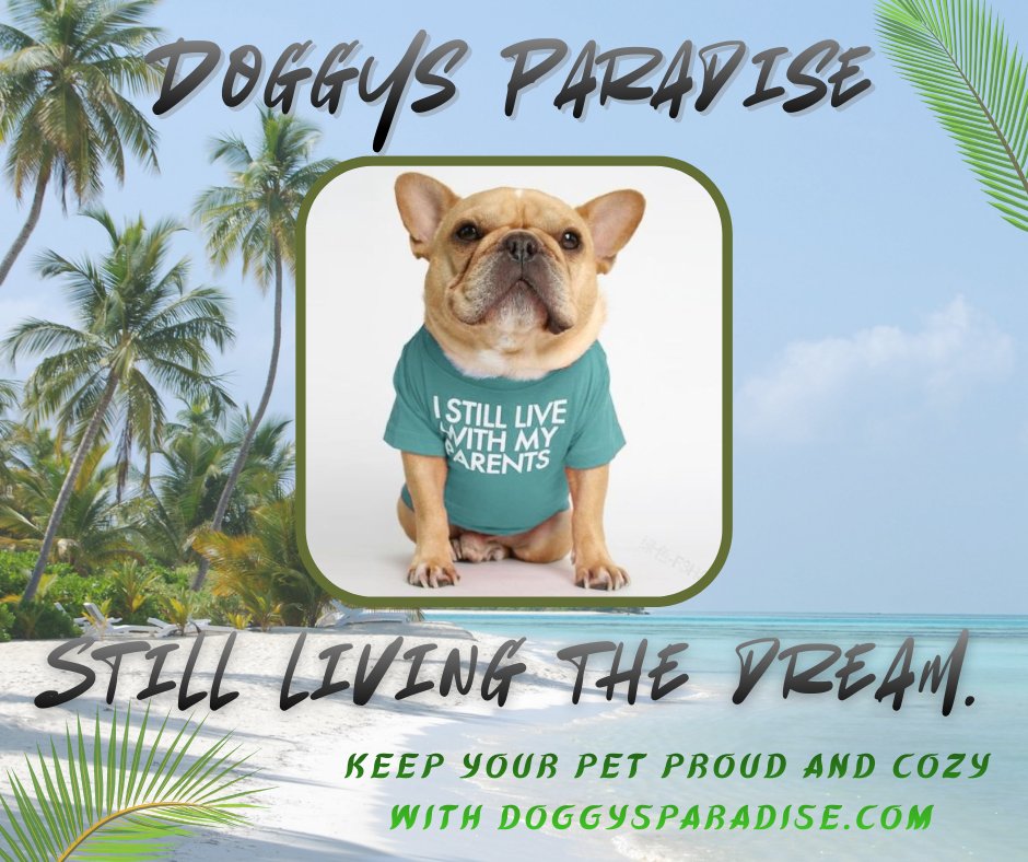 doggysparadise's tweet image. No rent. No bills. Just vibes. 🐾😄
This pup is rocking a comfy round-collar dog T-shirt with the message we can all relate to: “I still live with my parents.”
Find personality-packed pet outfits at Doggysparadise.com

#DoggysParadise #DogClothes #FunnyDogShirt #DogFashion