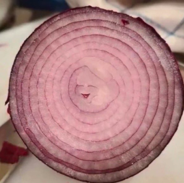 happy onion