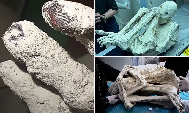 TheProjectUnity's tweet image. This is a list of researchers associated with the study of the Tridactyl Mummies in Peru:

Acuña, Y. – Biologist; contributed to Preliminary Report of DNA Study from Peruvian Nazca Tridactyl Mummies.

Aldo, Martín Arévalo – Biologist; tissue and histological analysis in…