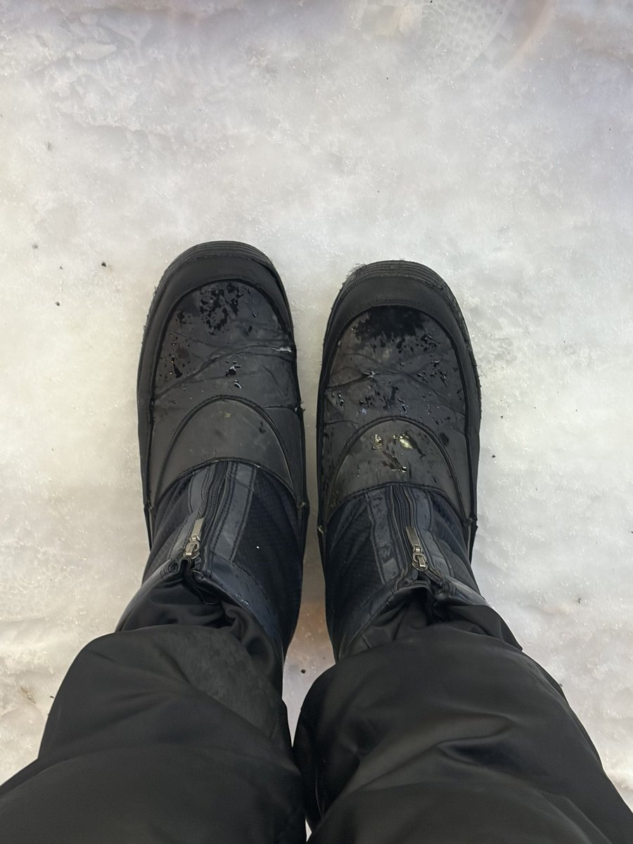 うーばちゃんページ HIMAWARIちゃんねる 書籍発売 記念キャンペーン | プレキャン