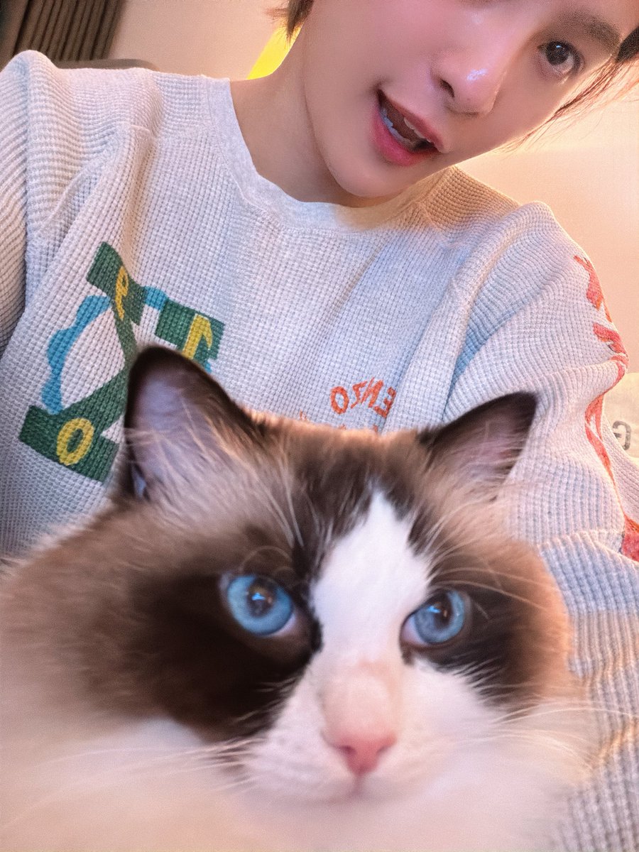 xiaojun_xdj's tweet image. YANGYANG 💭