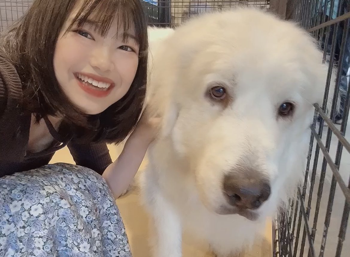 akiho_keiba's tweet image. 🌸 1/11(日) #あきほの全レース1点予想

🏇#フェアリーS
◎⑮#ブラックチャリス
〇④#ビッグカレンルーフ
▲②#ピエドゥラパン

🏇#淀短距離S
◎⑨#フィオライア
〇⑫#ヤブサメ
▲①#シュタールヴィント

明日は1月11日
ワンワンワン犬の日🐶💕