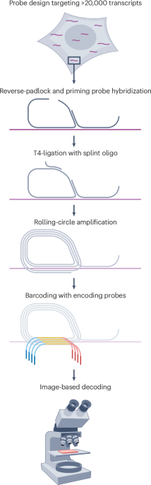 Nature Reviews Genetics tweet media