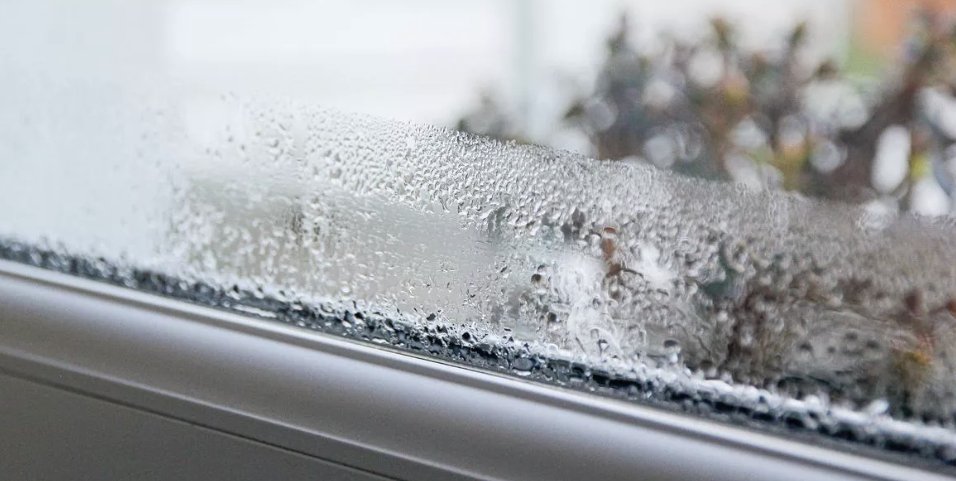 MirrorParents's tweet image. Eliminate window condensation and mould with curtain hack that's completely free
mirror.co.uk/money/eliminat…