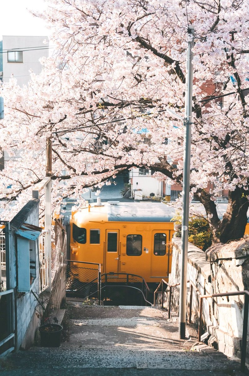 sie_sie's tweet image. 電車で座れずに50分立ちっぱなし、足腰にくる年齢になった 🧝