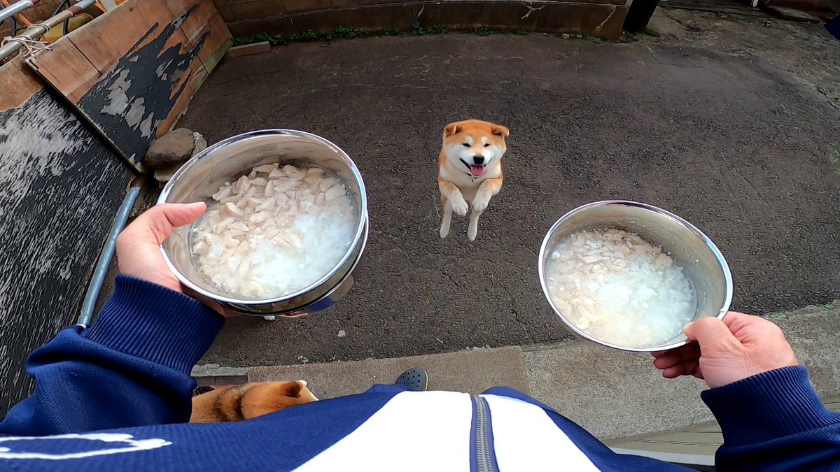 GMJpaCSCbuIDYDw's tweet photo. 縦表示に出来ると聞いて
＜ここをクリック＞