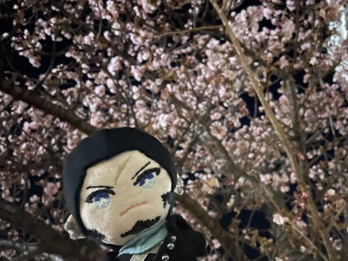 ﾘｶﾙﾄﾞ、桜だよ…もう咲いてんの！？