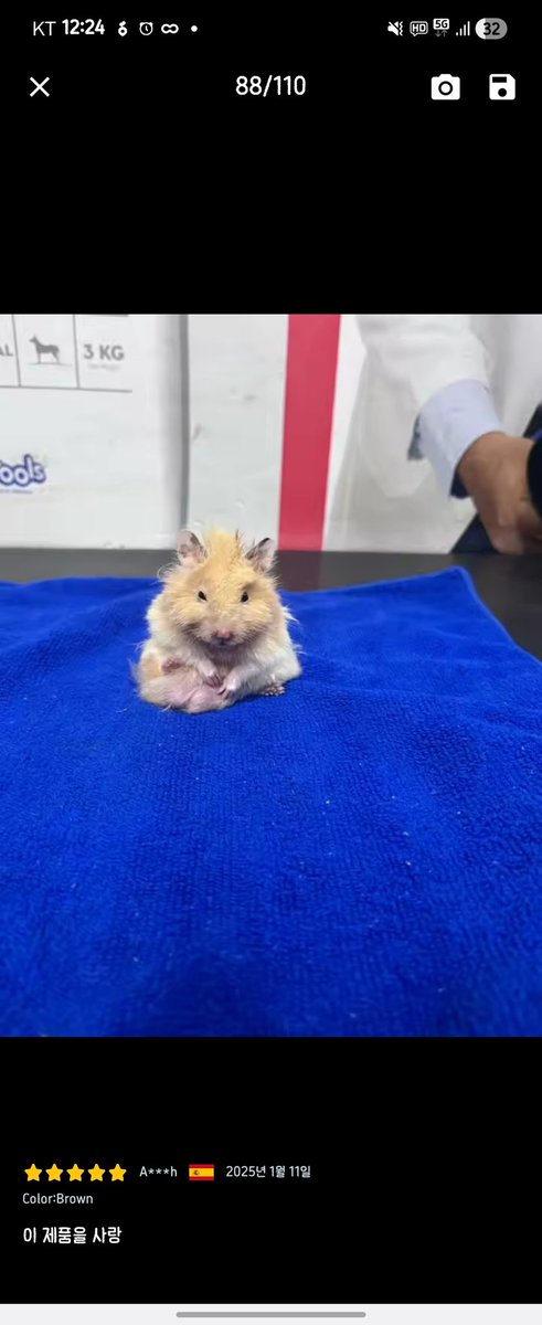 알리 리뷰 보다가 너무 귀여워서