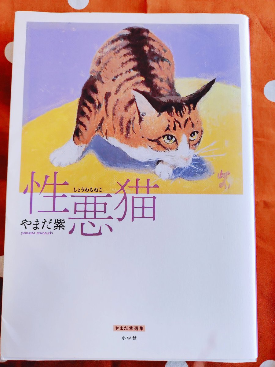 猫」の顔文字＆特殊文字＆絵文字一覧【コピペOK】 - ゆるっと暮らし術, image size:900x1200