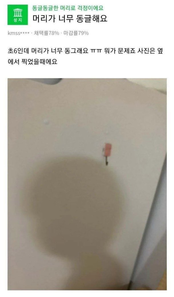후마 머리 엄청 동글….