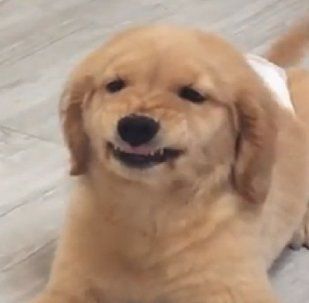 forwoonhak's tweet image. 🫳🏻🫳🏻🫳🏻