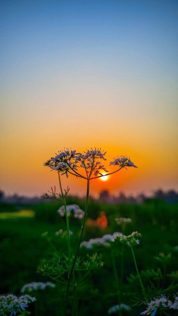 "Each day we live is a gift so thank god in the evening for getting you throught the day."

Good evening ✨