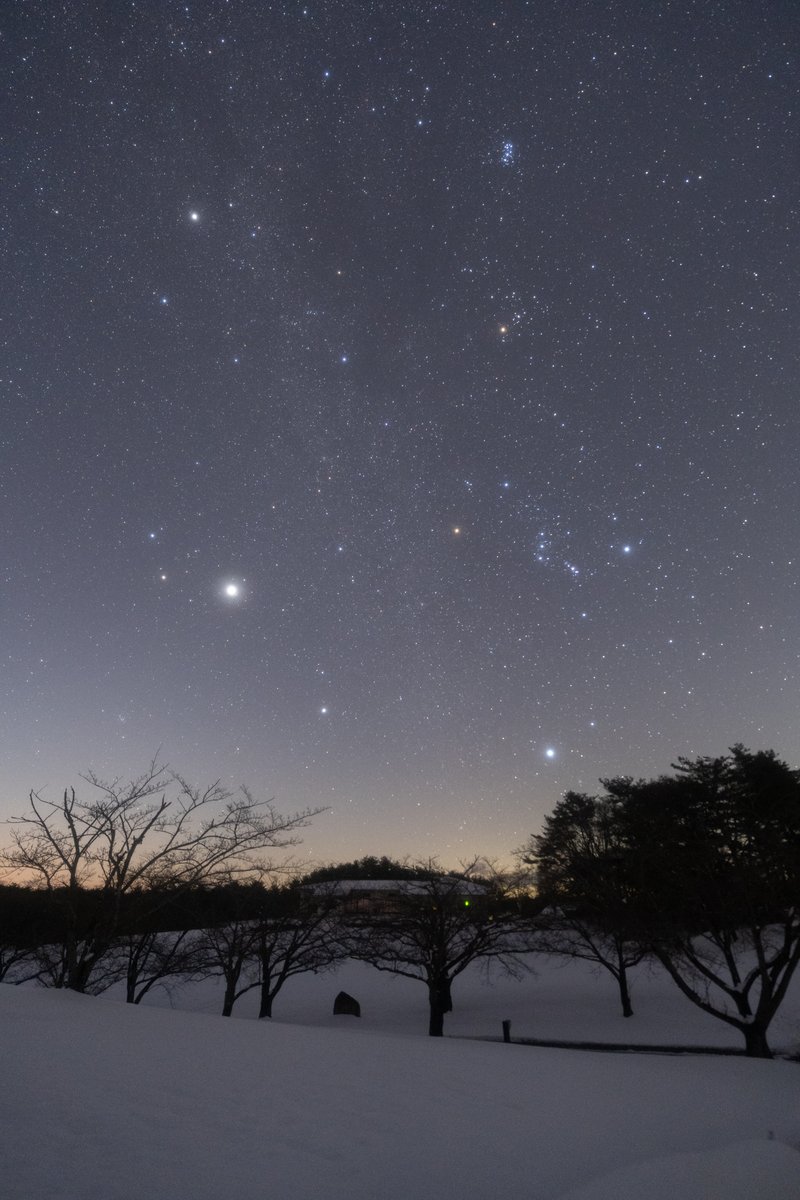man_ten_bo_shi's tweet photo. 先日撮影した能登の星空です。
一番明るい星は木星です。
本日1月10日に木星が衝(しょう)を迎えました。
衝とは、地球から見て、木星が太陽の反対側にある時のことです。
木星は年中明るいですが、1月はマイナス2.7等級ととても明るいです。
晴れた夜には、日没後の東の空の木星を眺めてみましょう。 https://t.co/U3pT57PjUP
