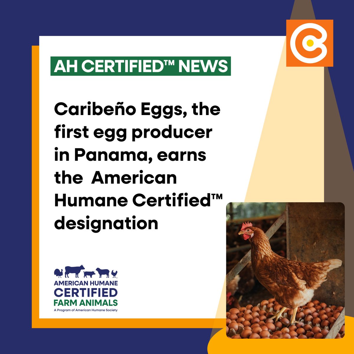 American Humane Certified™ Farm Program tweet media