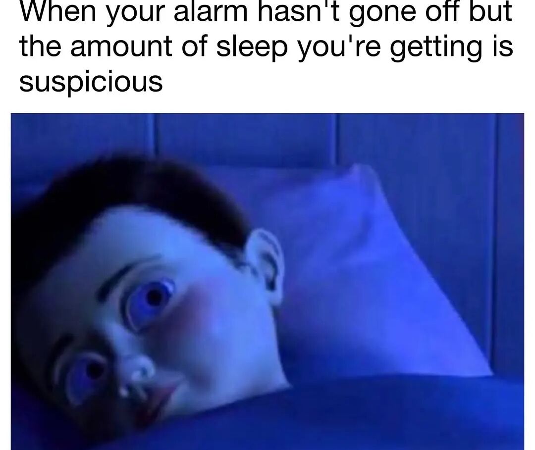 WholesomeMemes (@wholesomememe) on Twitter photo 
