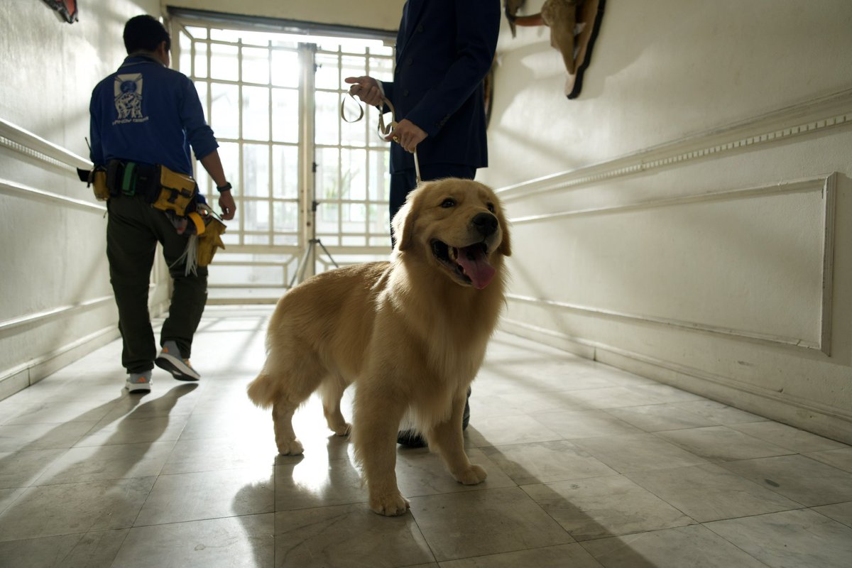 xiseks's tweet image. ขอบคุณก้อนขนสีน้ำตาลนามปาร์คเกอร์นะค้าบบบบบ เก่งมากกกก  #MeAndTheeSeriesEP9