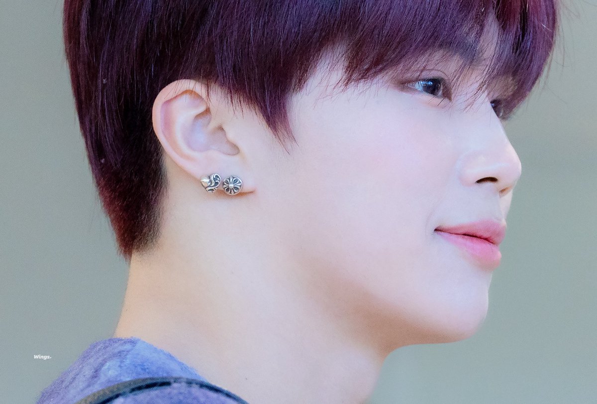 𝑾𝒊𝒏𝒈𝒔. tweet media