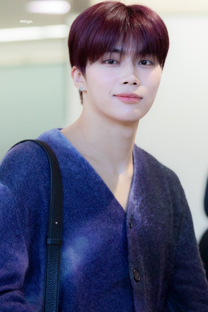 𝑾𝒊𝒏𝒈𝒔. tweet media