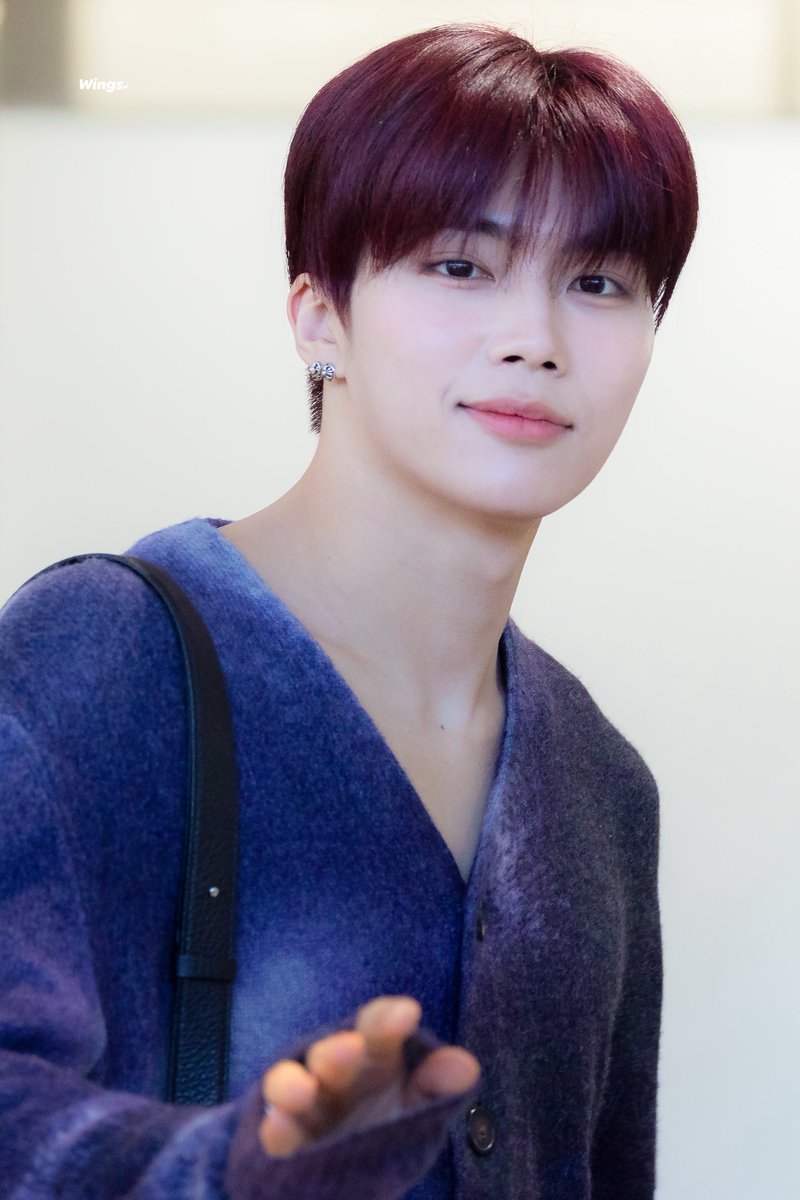 𝑾𝒊𝒏𝒈𝒔. tweet media