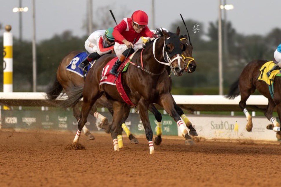 نتيجة الشوط الـ 5 الحفل ( 59 ) 
[ انتاج محلي مفتوح الدرجات ]

الفائز:سؤدد
المالك :الأمير فيصل بن خالد بن عبدالعزيز 
المدرب :فهد سعد 
الخيال :ريكاردو فيريرا
المسافة :  1400 متر
الزمن:01:28:94

#مباري_الخيل
#موسم_سباقات_الرياض