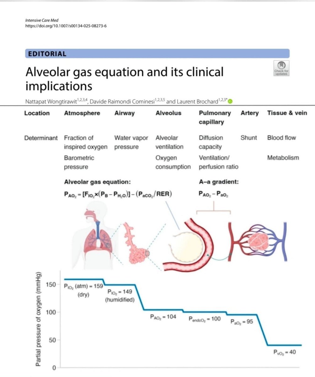FcoAyusoMC's tweet photo. Un clásico.
La caída del oxígeno. 
159 mmHg a nivel atmosférico 🌊 
3-5 mmHg a nivel mitocondrial.
👌🏽❤️🦖 https://t.co/UrQFdNToUK