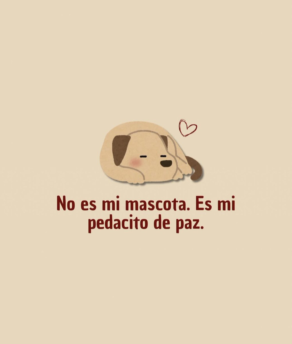 SuavesLomitos's tweet image. 