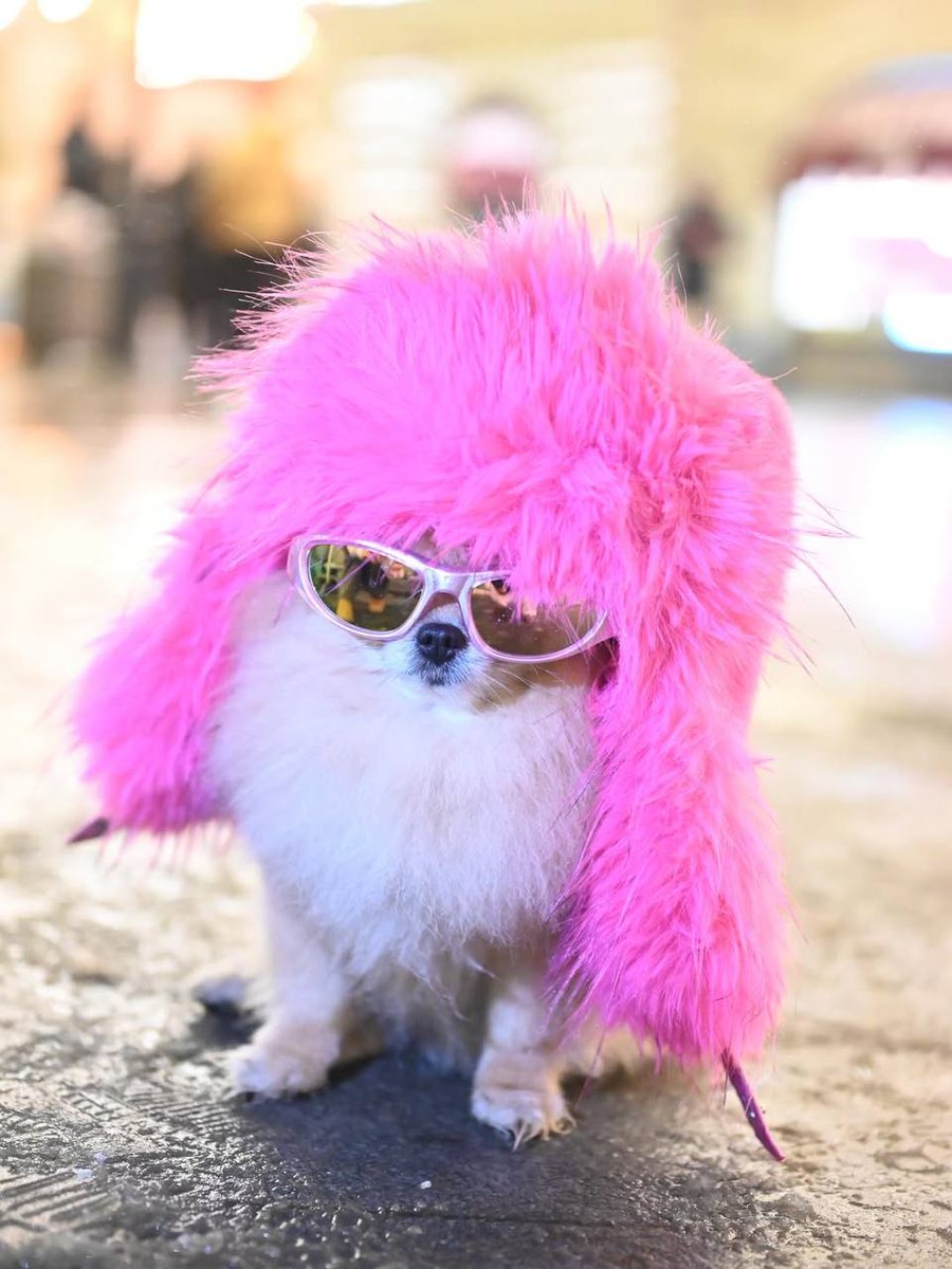 <a href="/zaralarsson/">Zara Larsson</a> Kori the pom like the pink 💗