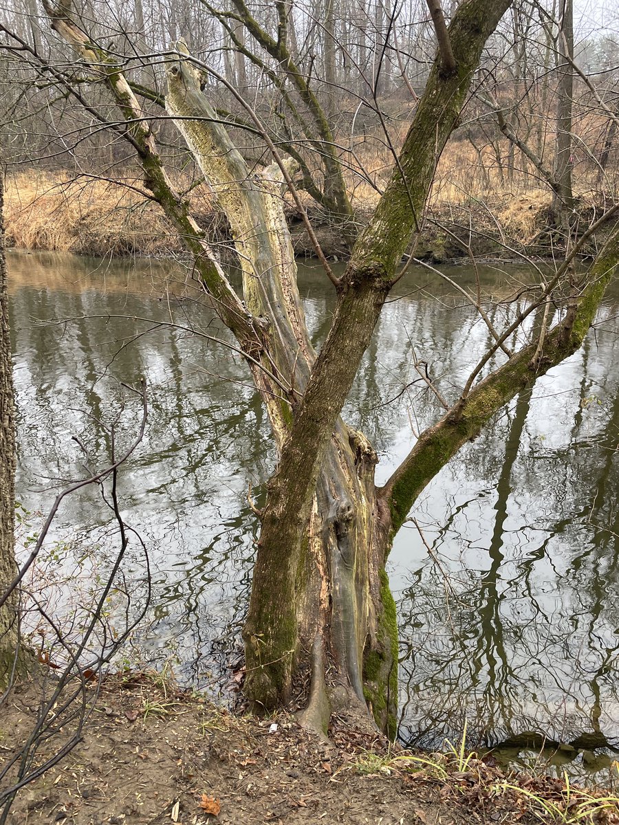 Brinton Culp tweet media