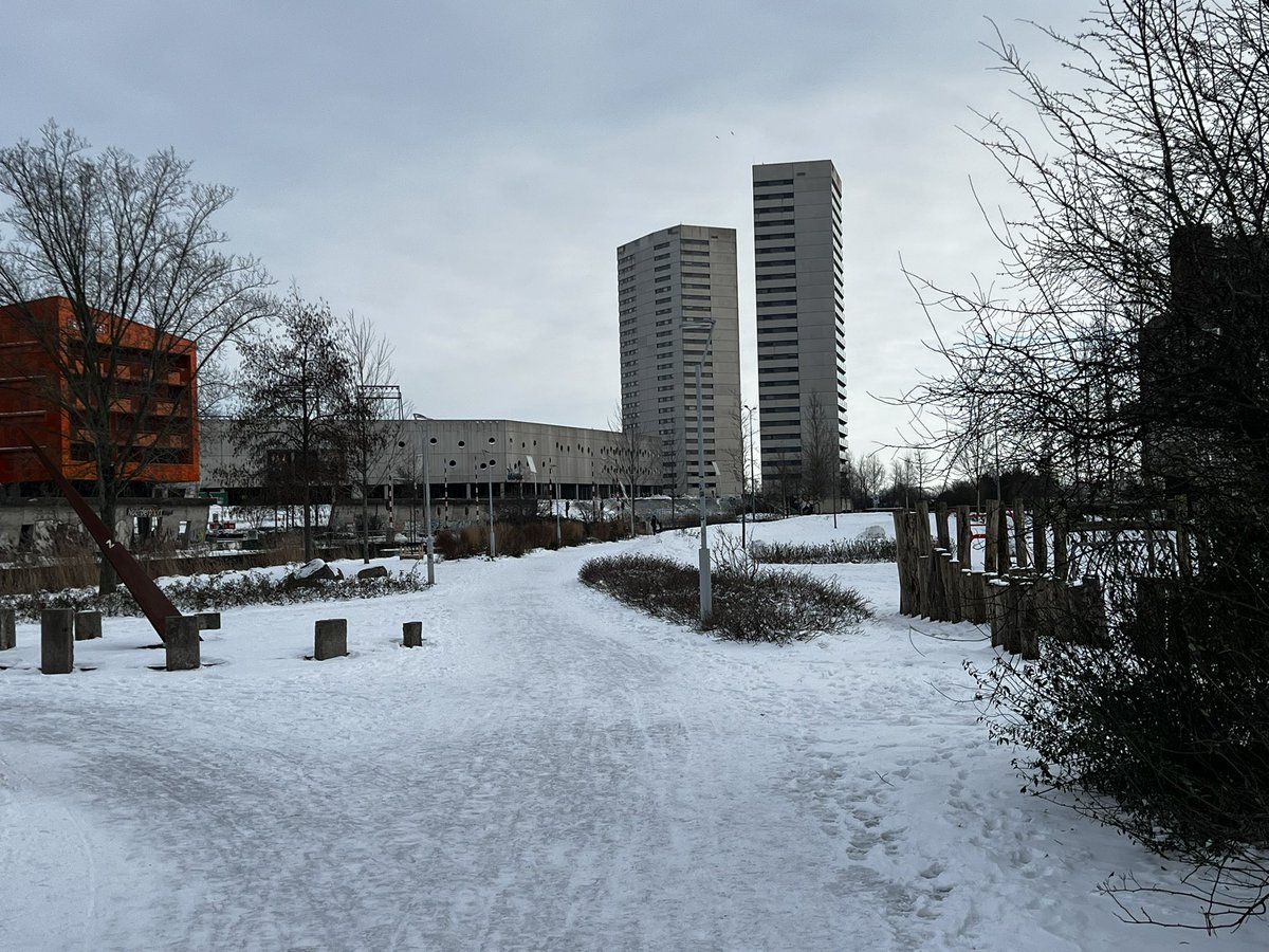 Rob de Waard tweet media