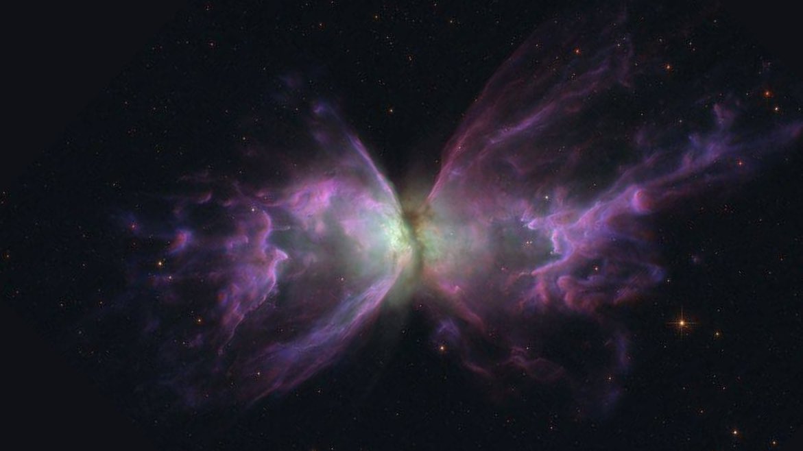 سديم                                           فراشة