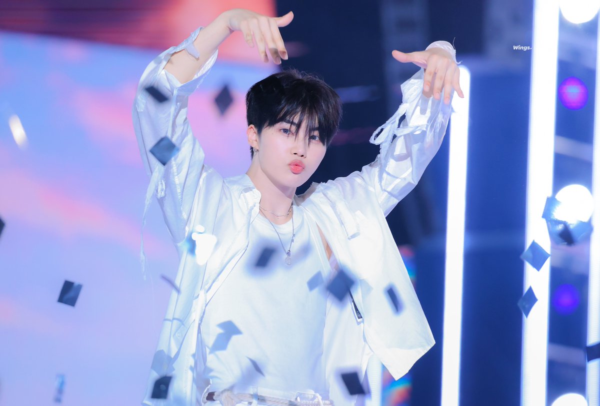 𝑾𝒊𝒏𝒈𝒔. tweet media