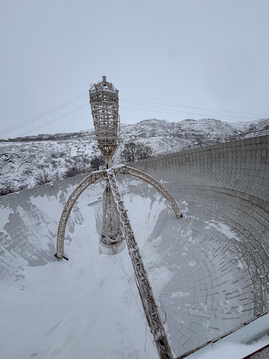 ᴹᴵᴷᴵ ᵞᴼᔆᴴᴵᴼᴷᴬ tweet media