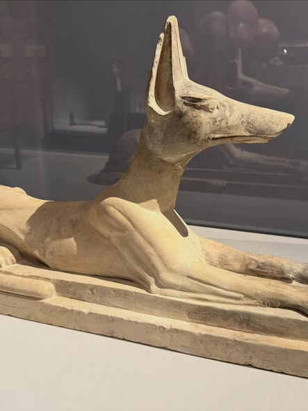 HouseCallVetNYC's tweet photo. Do you indulge your dog, or cherish your cat?
Well, rush over to the Metropolitan Museum of Art in NYC and visit “Divine Egypt” and see how one ancient civilization venerated the creatures that share our planet. https://t.co/rcWA2Fw8vW
